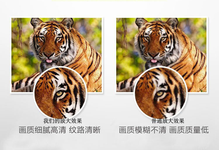 1486195431249917.jpg 1486195431249917.jpg