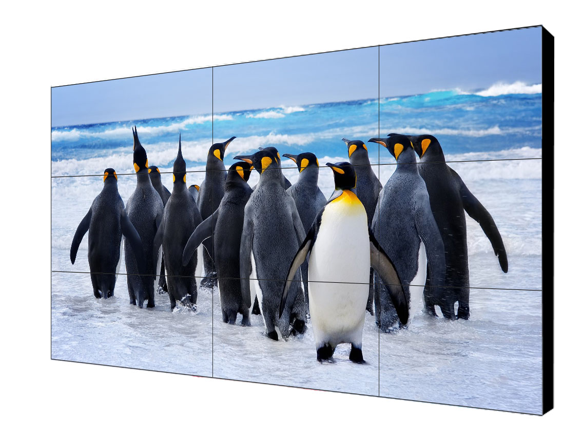 1573121904639322.jpg 18.jpg